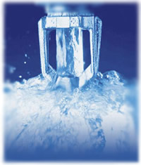 Fire Protection Services Florida